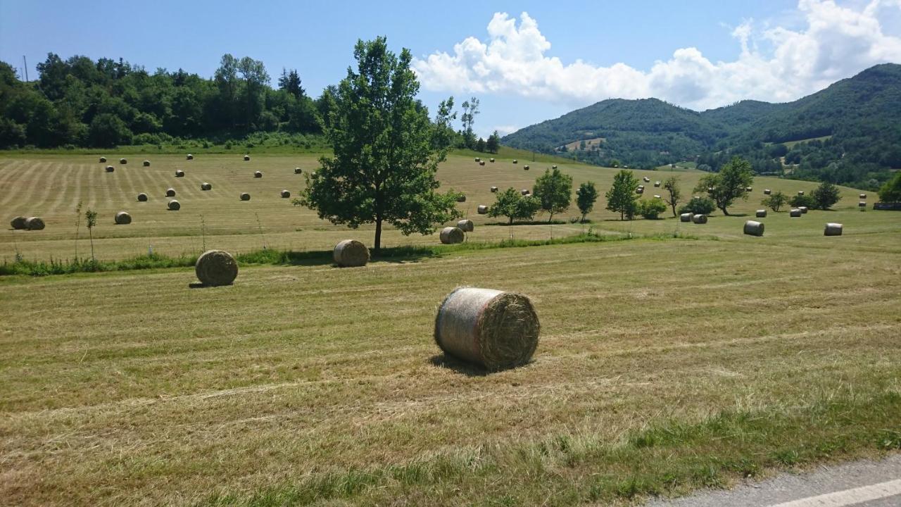 Bed and Breakfast L'Isola Dla Cerrea Mombasiglio Zewnętrze zdjęcie